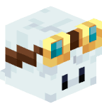 Głowa Minecraft gracza TPPX